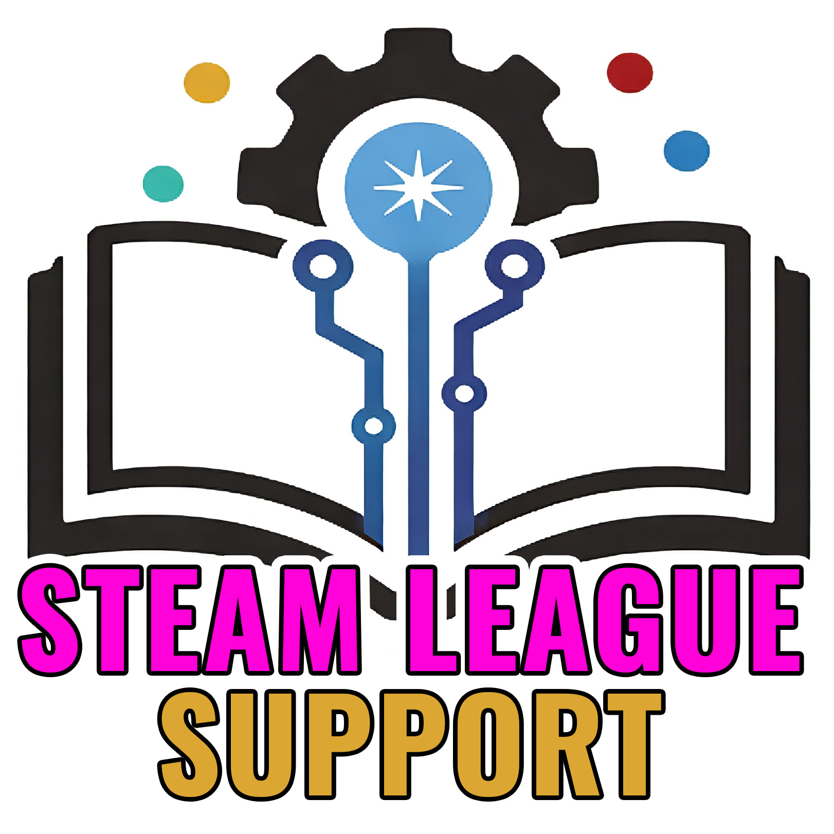 STEAM League Support